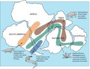 Evidências fossiliferas comuns que levaram Wegener  a compor a teoria da deriva dos continentes: Fonte U.S. Geological Survey